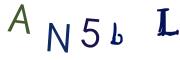 Bild-CAPTCHA