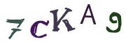 Bild-CAPTCHA
